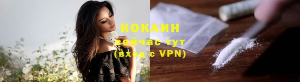 прущая мука Каменка