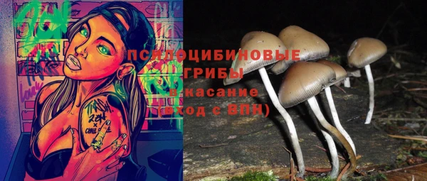 прущая мука Каменка