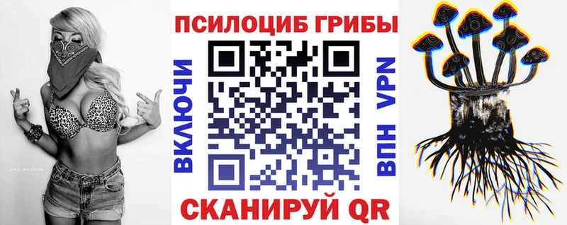 Псилоцибиновые грибы Magic Shrooms  Камень-на-Оби 